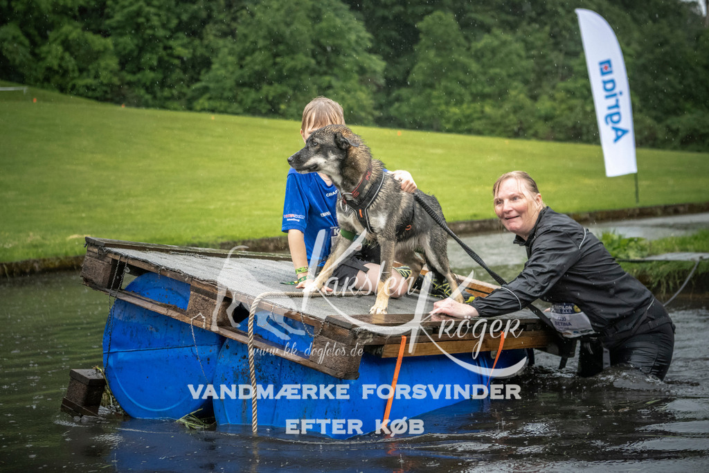 1327_ZZ98499 | kk-dogfotos