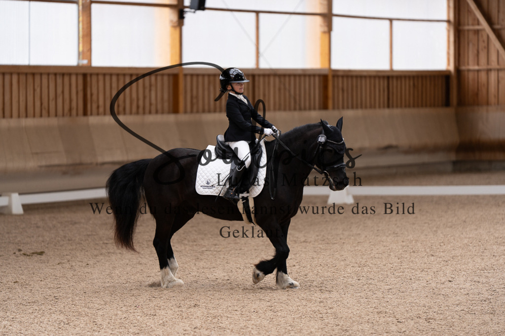 A7507204 | Pferdefotograf