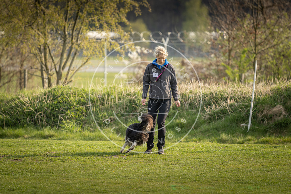 Pfotenfotografie_DV3A4738 | Hundefotografie, Tierfotograf, Pfotenfotografie, Fotoshooting Hund, Hunde Portrait, Hundesport, Hundeportraits, Heideshooting, Hunde, Sportfotograf, Hundefotograf, Turnierhundsport, THS,  - Realisiert mit Pictrs.com