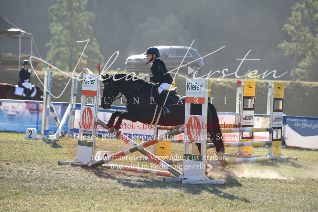 DSC_5534 | Pferde- und Turnierfotografie in Westsachsen. Pferdeportraits, Auftragszeichnungen und intuitive Kunst.