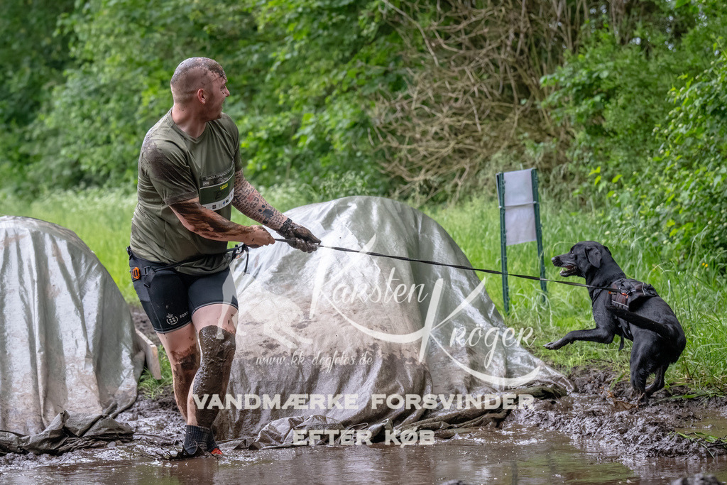 1638_ZZ94609-Bearbeitet | kk-dogfotos