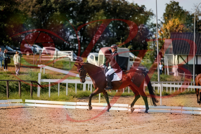 2026_10_03_Siefer-Hof_122706_Z63_47997055 | Professionelle Reitsport-, Turnier- und Eventfotografie von Robert Broda. Galerien mit ausgewählten und bearbeiteten Bildern direkt online ansehen und bestellen.