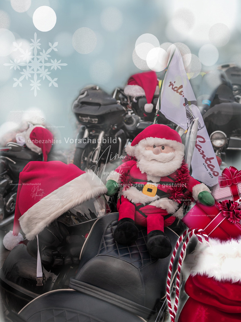 _16A3018-1 | Einzigartige Fotos von Hunden & Menschen –Actionfotos, Portraits, Vereinsaufnahmen & Paarshootings – authentisch, lebendig & mit Herz.