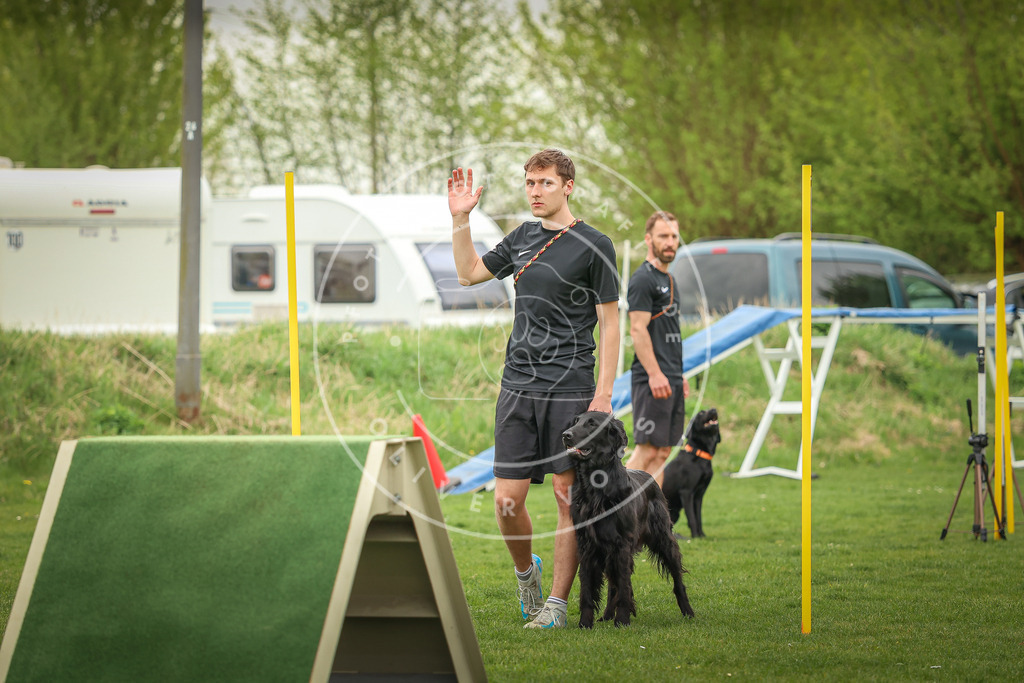 Pfotenfotografie_0L8A0316 | Hundefotografie, Tierfotograf, Pfotenfotografie, Fotoshooting Hund, Hunde Portrait, Hundesport, Hundeportraits, Heideshooting, Hunde, Sportfotograf, Hundefotograf, Turnierhundsport, THS,  - Realisiert mit Pictrs.com