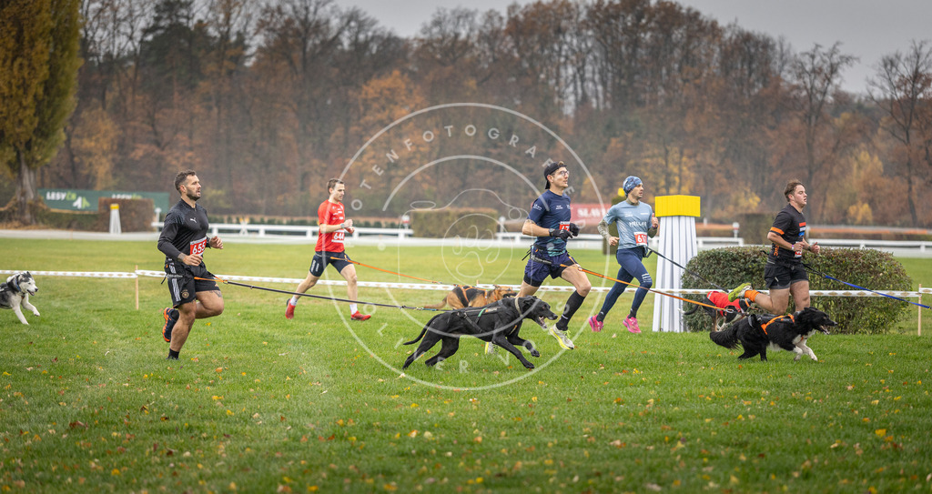 CaniXpix_DV3A9519 | Hundefotografie, Tierfotograf, Pfotenfotografie, Fotoshooting Hund, Hunde Portrait, Hundesport, Hundeportraits, Heideshooting, Hunde, Sportfotograf, Hundefotograf, Turnierhundsport, THS,  - Realisiert mit Pictrs.com