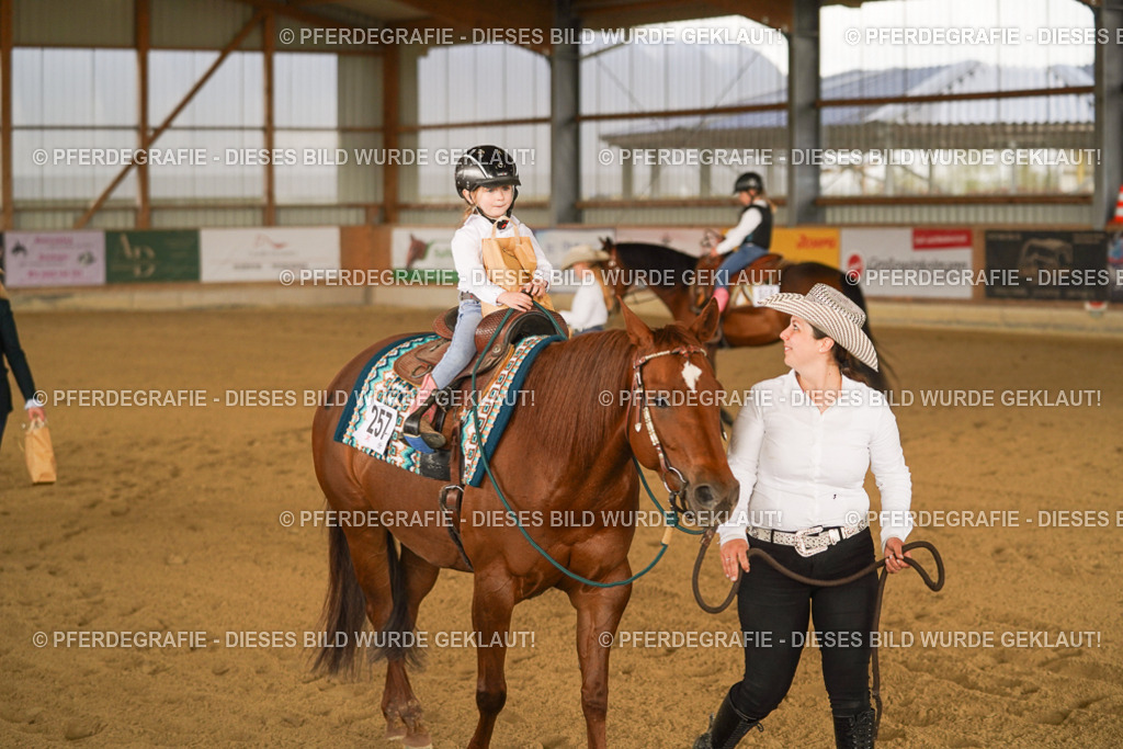 DSC01038 | Pferdegrafie