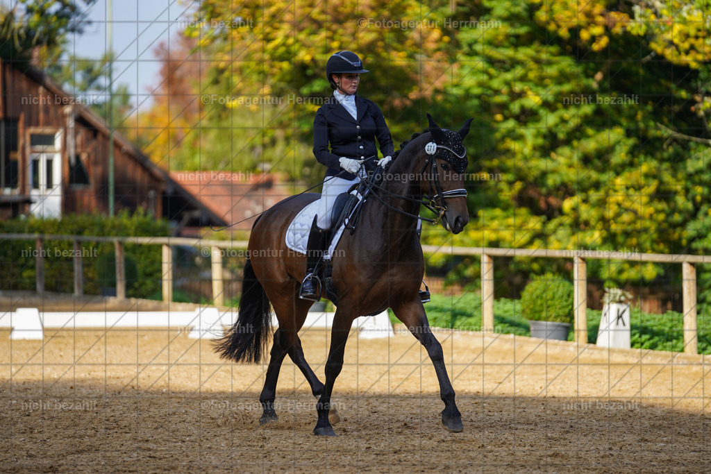 20221007-FAH00106 | Diessen am Ammersee, 2022, Dressur- und Springturnier, Reitsportbilder, Turnierfotografen Bayern, Pferdefotografen, Fotoagentur Herrmann, Turnierbilder