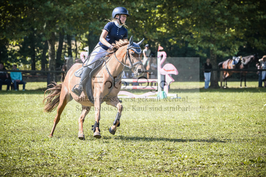 DOS_1057 | Entdecke hochwertige Reitturnierfotos von Foto Oger. Professionell, emotional und authentisch – jetzt Lieblingsmomente im Shop bestellen.Deutschlandweite Turnierfotografie. - Realisiert mit Pictrs.com