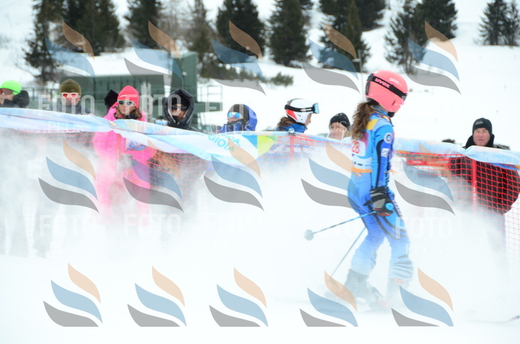 DSC_0815 | holidayphoto