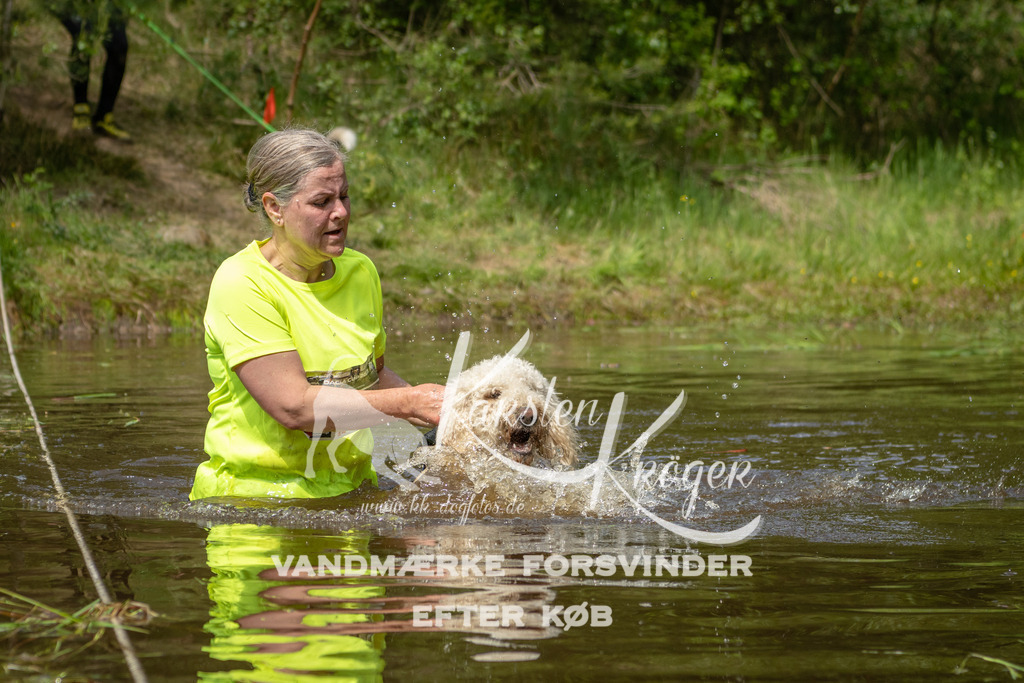 1244DKK993466 | kk-dogfotos