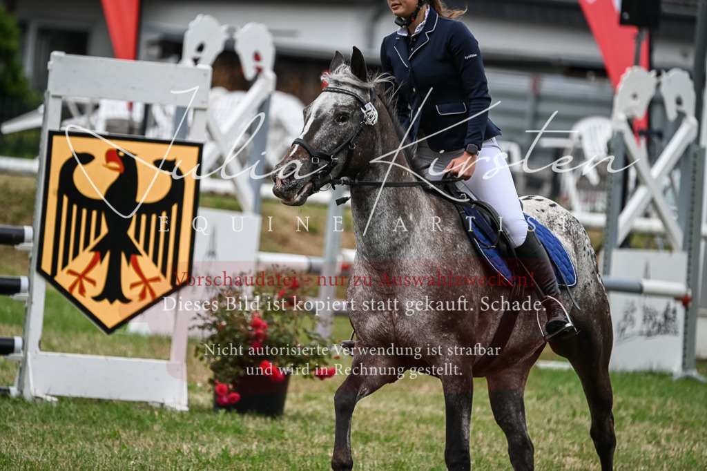 DSC_8548 | Pferde- und Turnierfotografie in Westsachsen. Pferdeportraits, Auftragszeichnungen und intuitive Kunst.