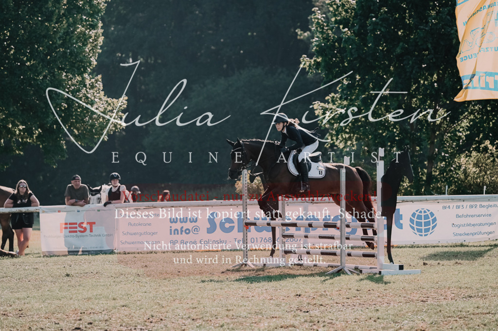 DSC_4685 | Pferde- und Turnierfotografie in Westsachsen. Pferdeportraits, Auftragszeichnungen und intuitive Kunst.