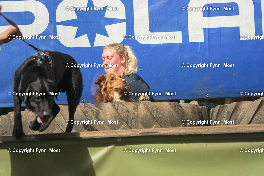 DSC_0551 | Hallo und herzlich Willkommen auf meiner Shop-Seite Fynn Most.

Ich wünsche Dir viel Spaß beim stöbern durch die Bilder, wenn Du Fragen hast oder Bilder vermisst, kannst du mir gerne eine Nachricht schreiben. - Realisiert mit Pictrs.com