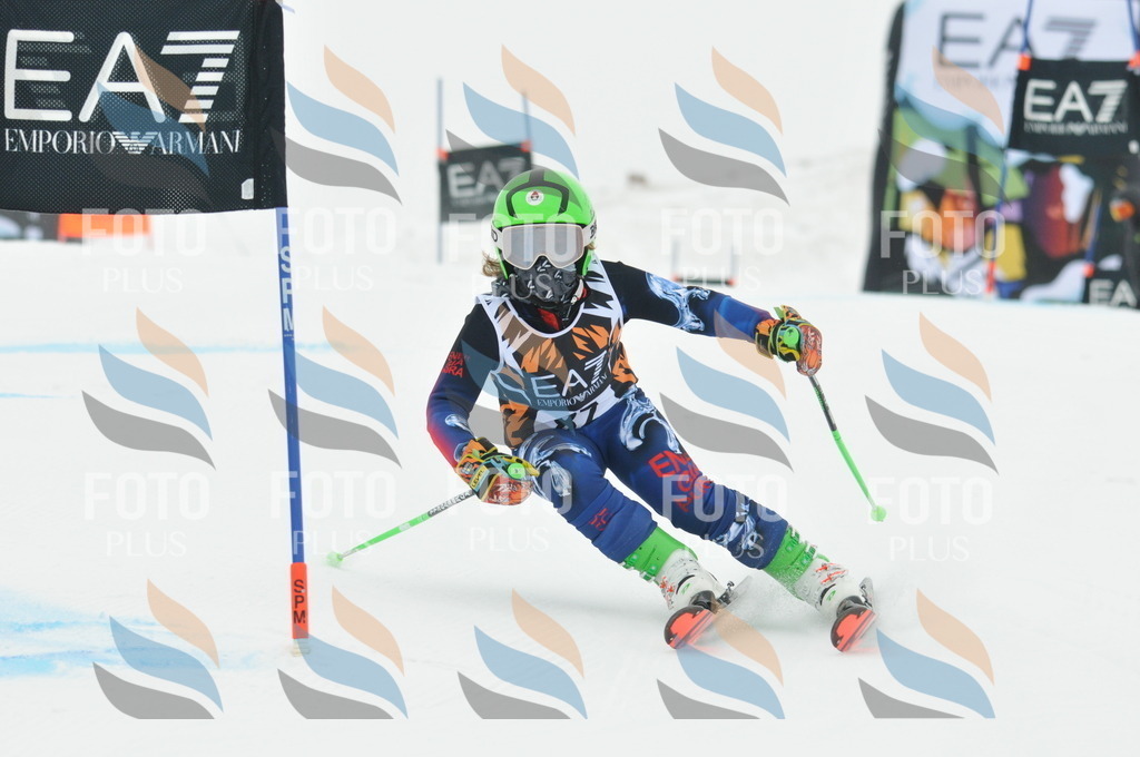 DSC_7921 | holidayphoto