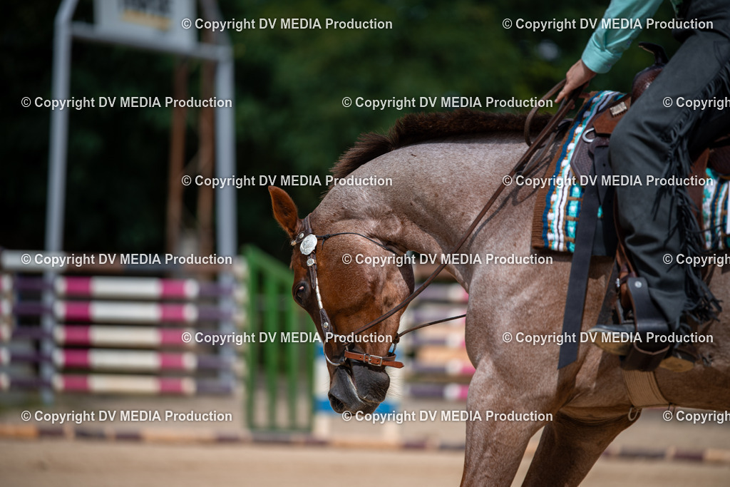 ZS2_3769 | dv-media-shop - Realisiert mit Pictrs.com