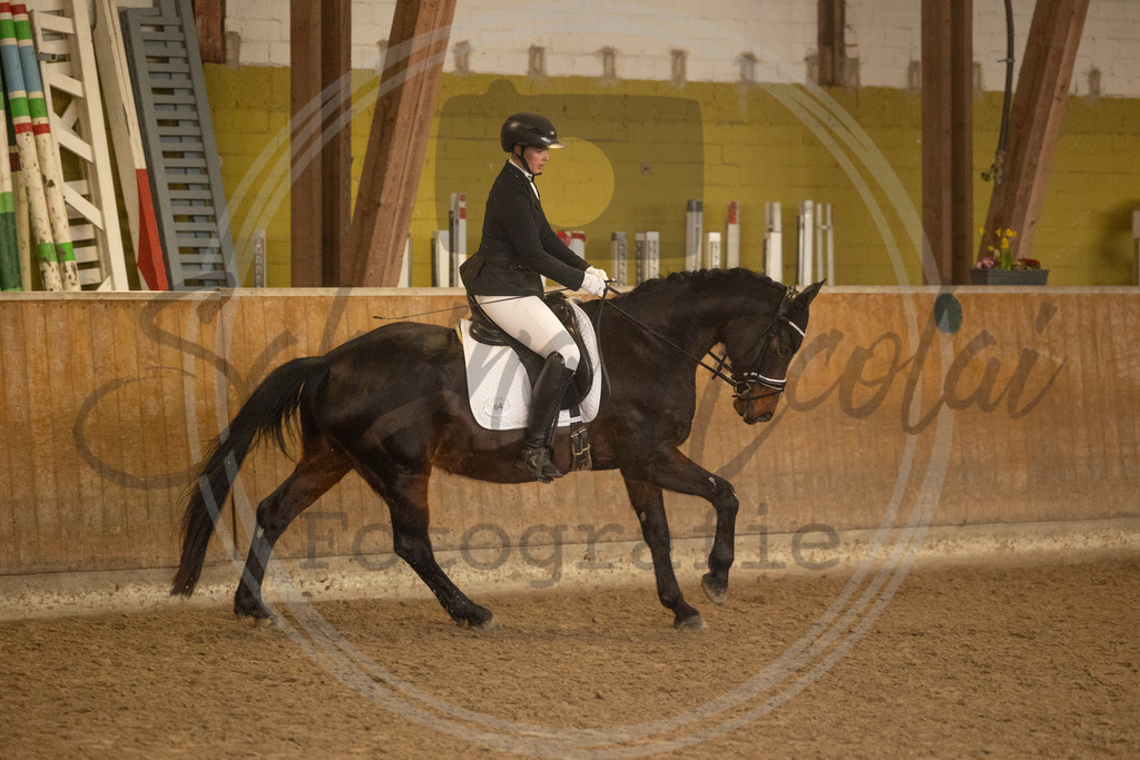 994A9233 | sabrinanicolaifotografie - Realisiert mit Pictrs.com