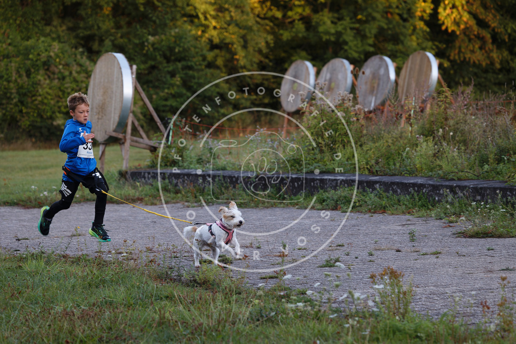 0L8A4181 | Hundefotografie, Tierfotograf, Pfotenfotografie, Fotoshooting Hund, Hunde Portrait, Hundesport, Hundeportraits, Heideshooting, Hunde, Sportfotograf, Hundefotograf, Turnierhundsport, THS,  - Realisiert mit Pictrs.com