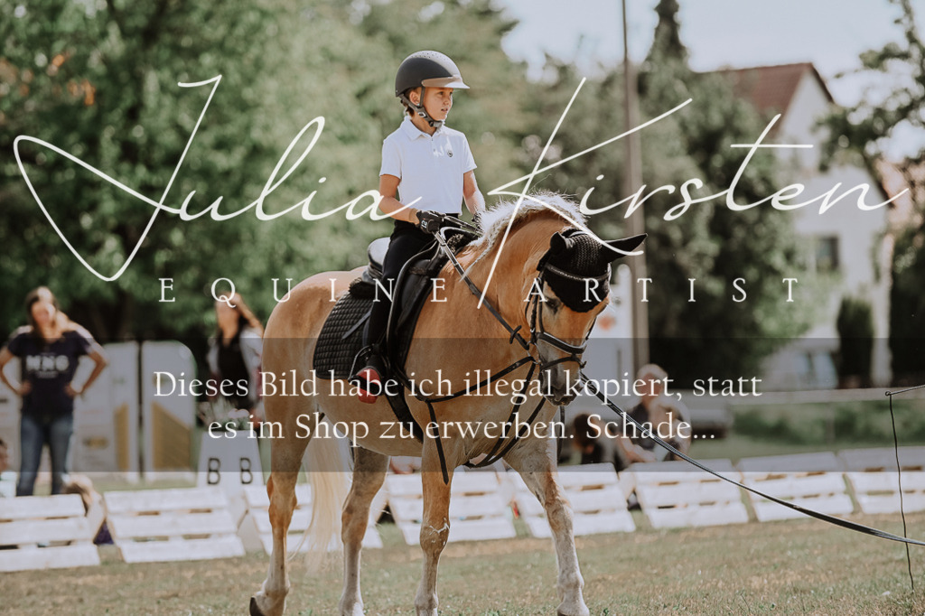 DSC_7747 | Pferde- und Turnierfotografie in Westsachsen. Pferdeportraits, Auftragszeichnungen und intuitive Kunst.
