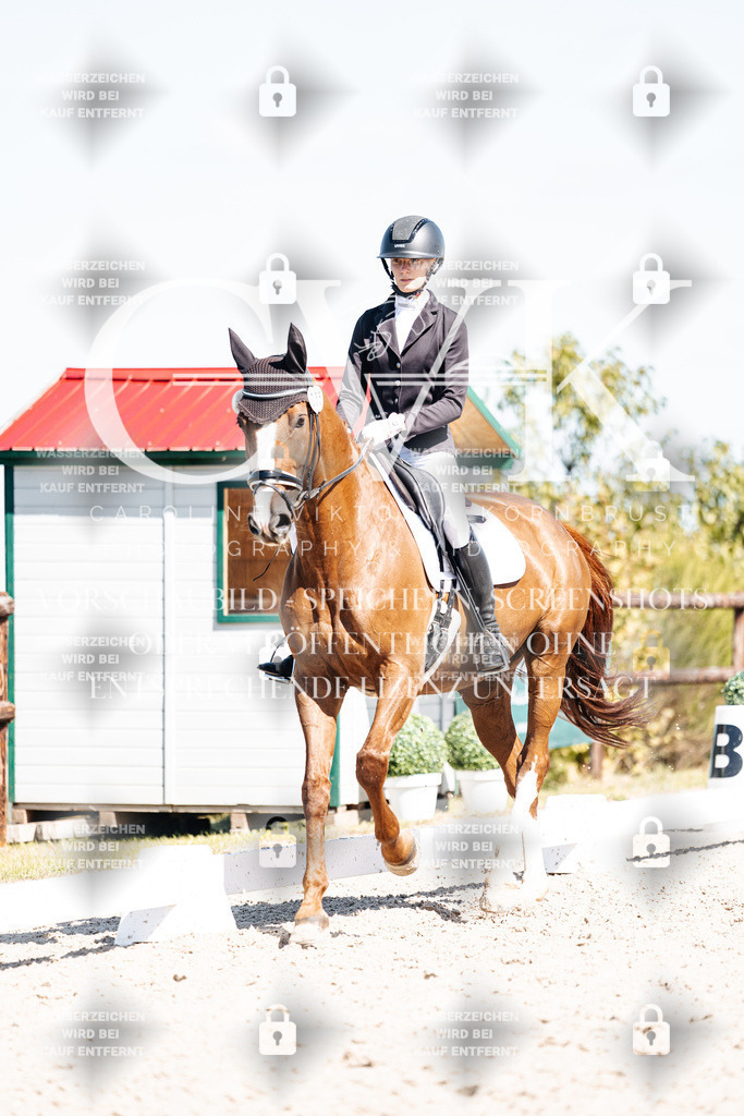 CK903952 | Turnierfotografie Pferdefotografie Trier Rheinland-Pfalz Pferdesport Reitsport Tierfotografie Sportfotografie Pferdevideo Pferdevideografie Equestrianvideography equestrianphotography  - Realisiert mit Pictrs.com