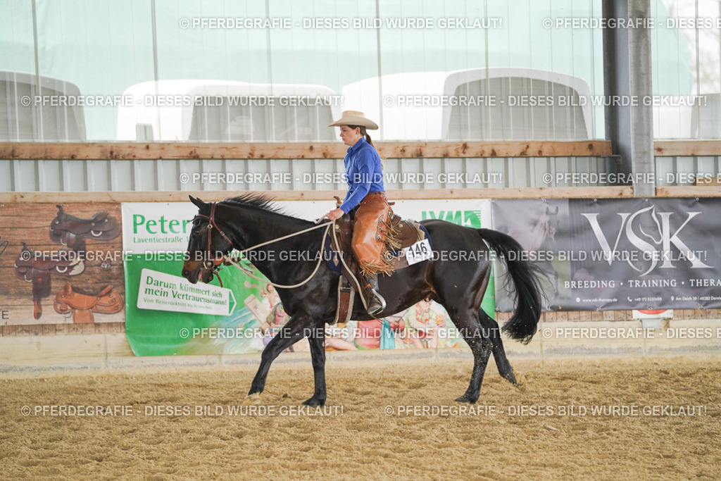 DSC05289 | Pferdegrafie