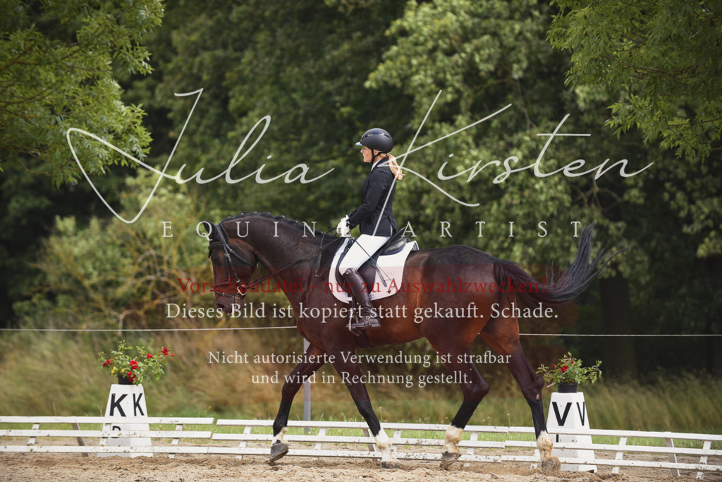 DSC_1206 | Pferde- und Turnierfotografie in Westsachsen. Pferdeportraits, Auftragszeichnungen und intuitive Kunst.