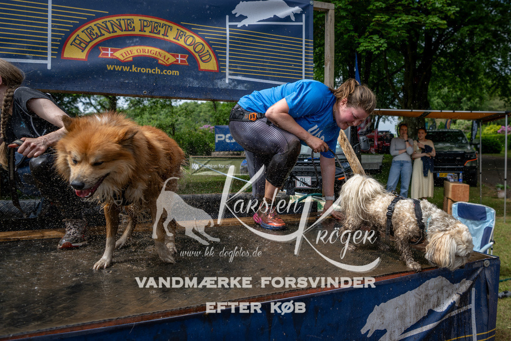 1117_ZZ93662 | kk-dogfotos