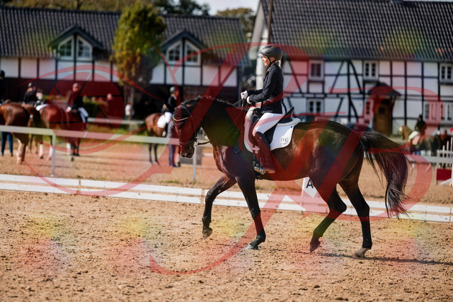 2026_10_03_Siefer-Hof_133639_Z63_97273936 | Professionelle Reitsport-, Turnier- und Eventfotografie von Robert Broda. Galerien mit ausgewählten und bearbeiteten Bildern direkt online ansehen und bestellen.