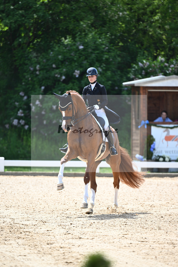 Nowag-Aulenbrock_Florine OLD_12244157 | hf-fotografie - Realisiert mit Pictrs.com