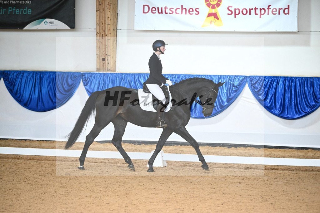 Kat-Nr. 24 Caladan_Scherer_14240410 | hf-fotografie - Realizzato con Pictrs.com
