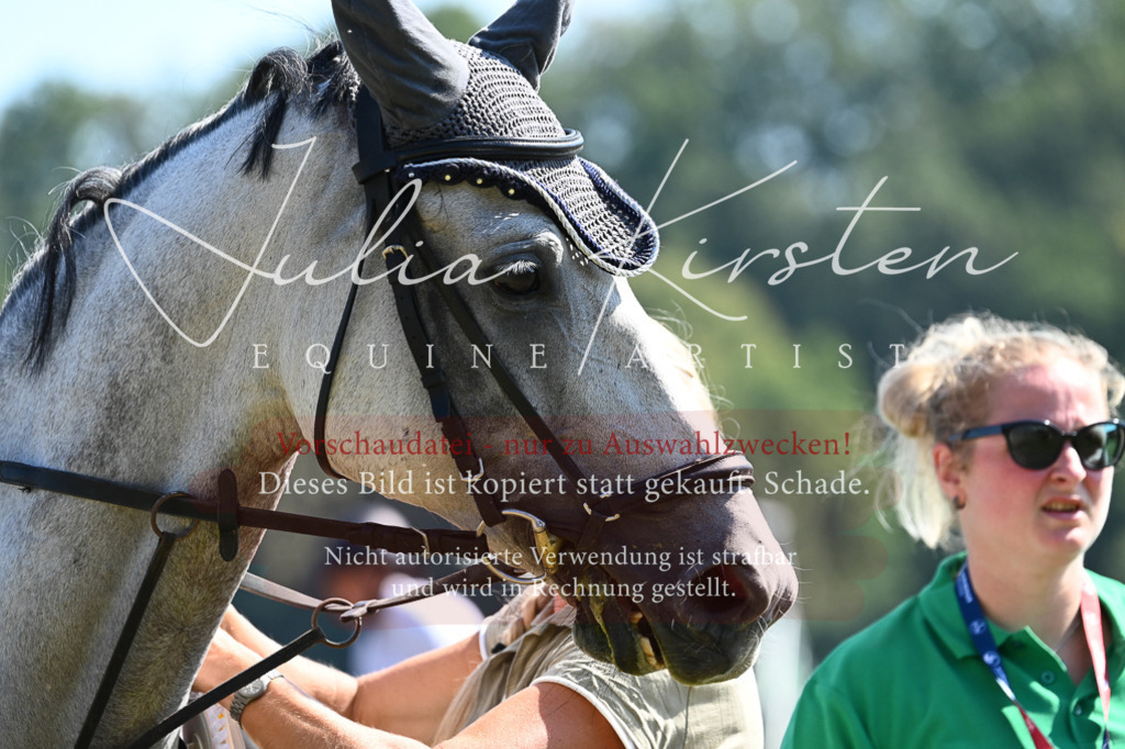 DSC_6486 | Pferde- und Turnierfotografie in Westsachsen. Pferdeportraits, Auftragszeichnungen und intuitive Kunst.