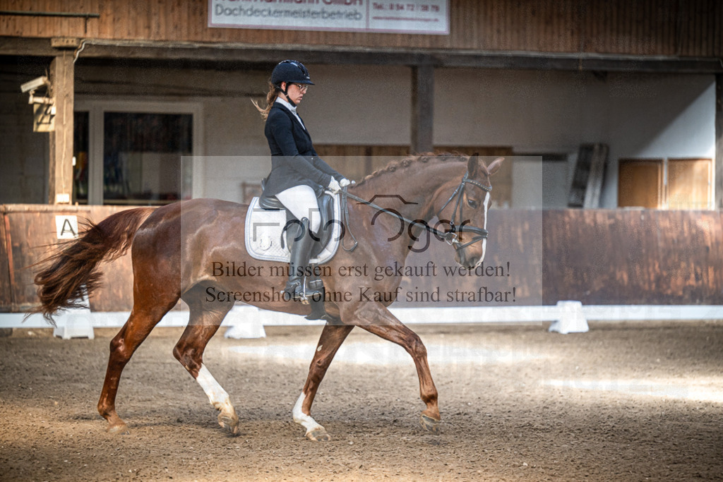 DOS_0389 | Entdecke hochwertige Reitturnierfotos von Foto Oger. Professionell, emotional und authentisch – jetzt Lieblingsmomente im Shop bestellen.Deutschlandweite Turnierfotografie. - Realisiert mit Pictrs.com