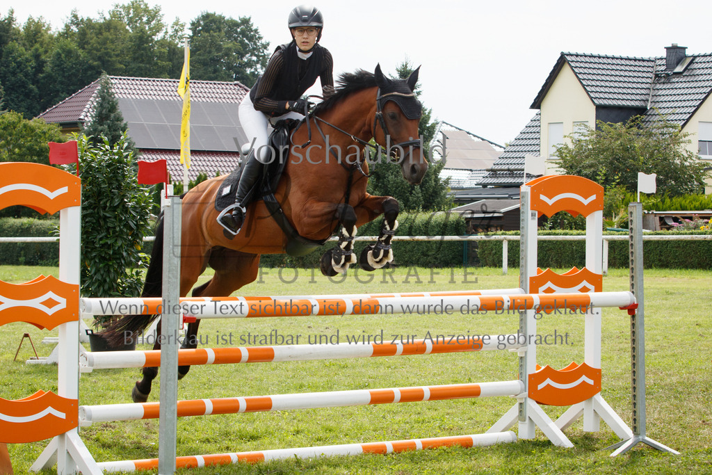 IMG_3164 | P. Berger Fotografie - Realisiert mit Pictrs.com