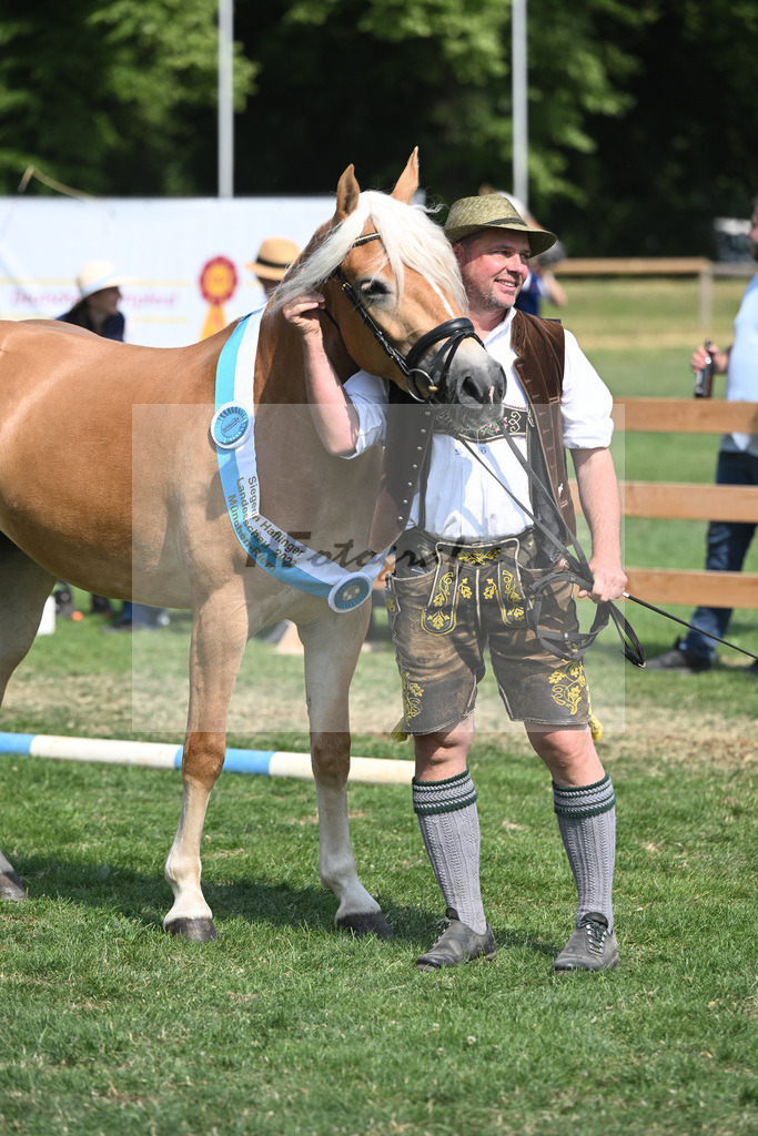 Kat-Nr. 9 Giorgia G_Grandauer_20231500 | hf-fotografie - Realisiert mit Pictrs.com