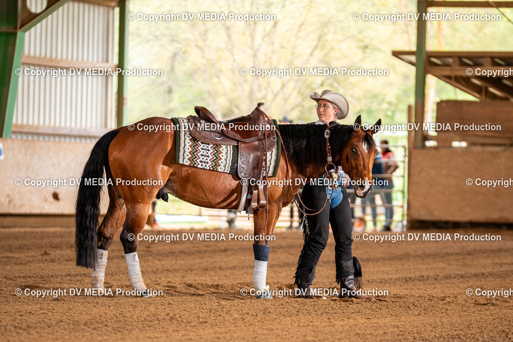 Balingen Tag 3-1160 | dv-media-shop - Realisiert mit Pictrs.com