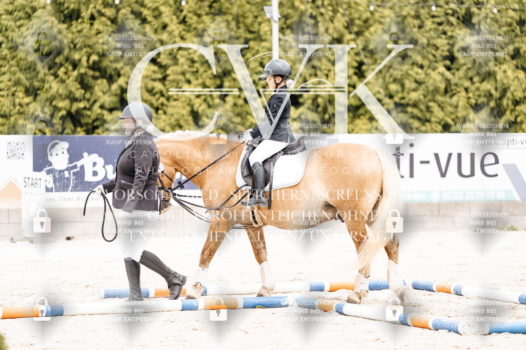 CK907161 | Turnierfotografie Pferdefotografie Trier Rheinland-Pfalz Pferdesport Reitsport Tierfotografie Sportfotografie Pferdevideo Pferdevideografie Equestrianvideography equestrianphotography  - Realisiert mit Pictrs.com