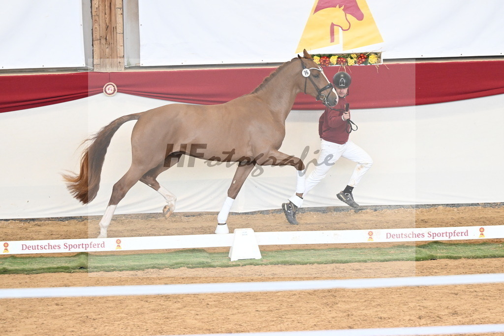Kat.-Nr. 76 v. Sir Heinrich_Schulze Averdiek_3261111 | hf-fotografie - Realizzato con Pictrs.com