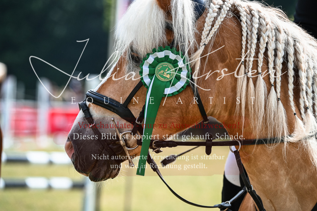 DSC_8625 | Pferde- und Turnierfotografie in Westsachsen. Pferdeportraits, Auftragszeichnungen und intuitive Kunst.