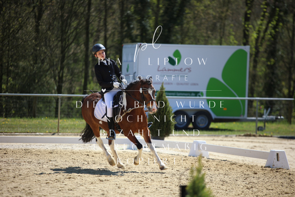 IMGT1227 | pl-fotografie