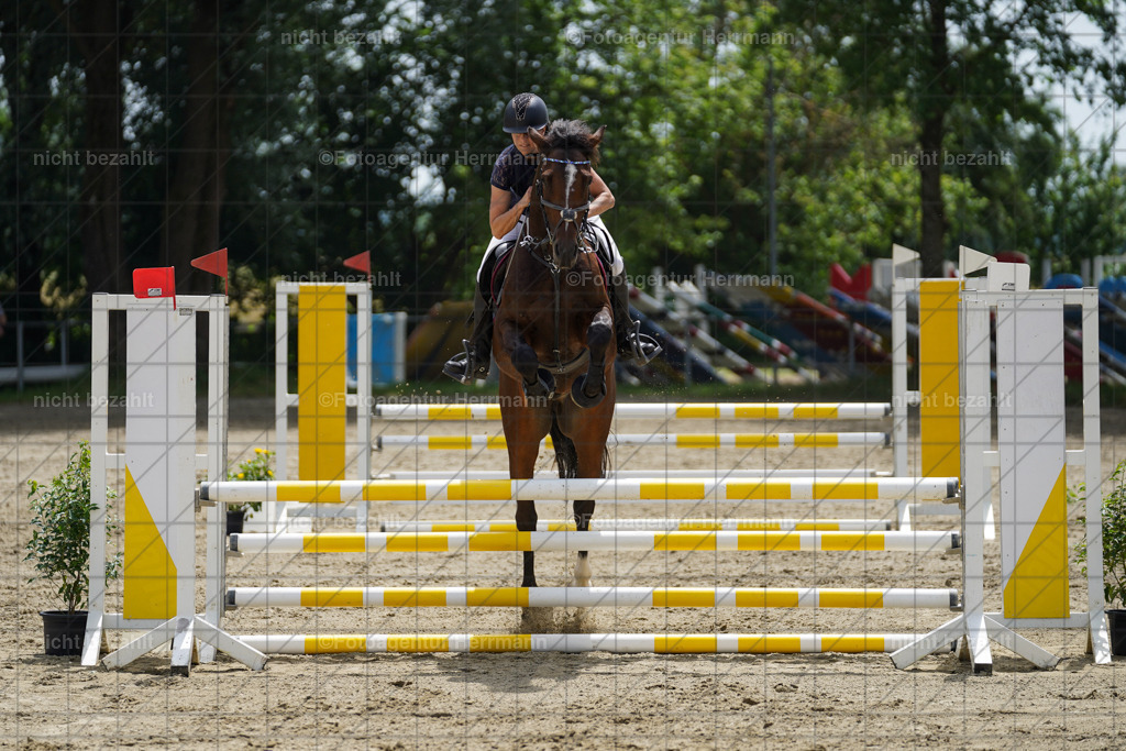 20240629-FAH09718 | Schwabmünchen, 2024, Dressurturnier, Springturnier, Turnierfotografen Bayern, Turnierbilder Schwabmünchen, Turnierfotos Bayern, Reitsportfotograf, Turnierbilder Bayern, Fotoagentur Herrmann
