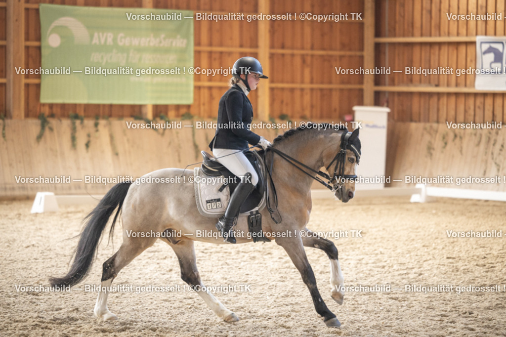 _D5A6250 | Emotionale Pferde- & People-Fotografie rund um Heidelberg, Leimen & Umgebung. Natürliche Fotos von Pferd, Mensch & Familie. Jetzt Termin sichern!