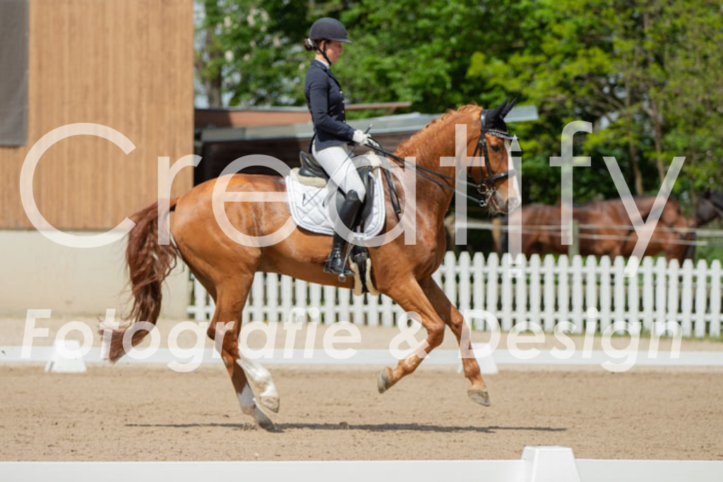 IMG_5732 | Creatify Fotografie