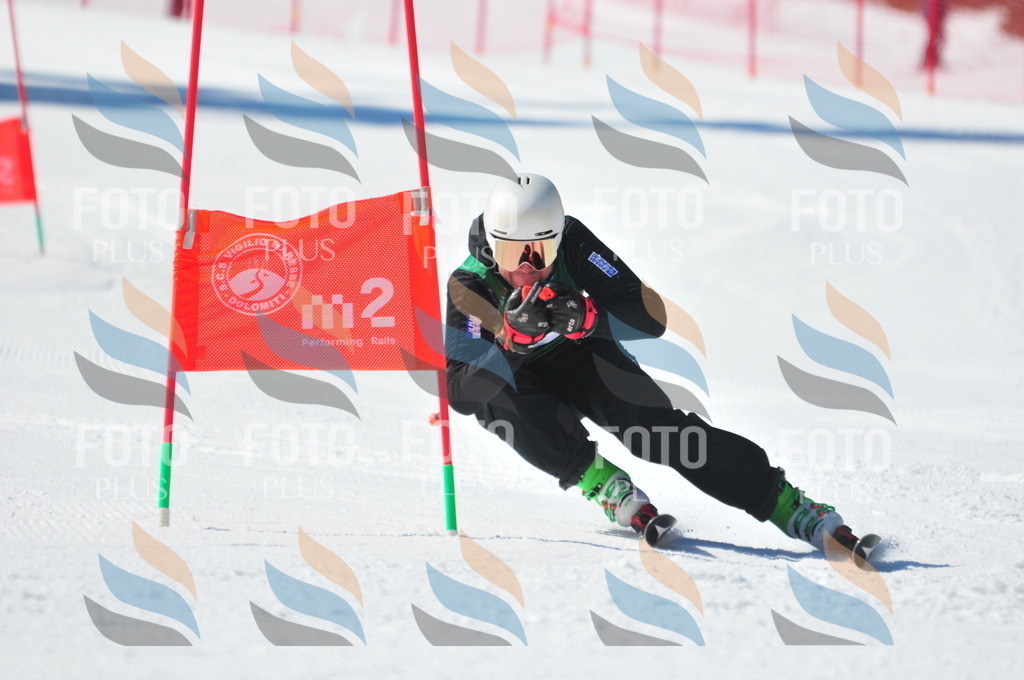 C3279 | holidayphoto