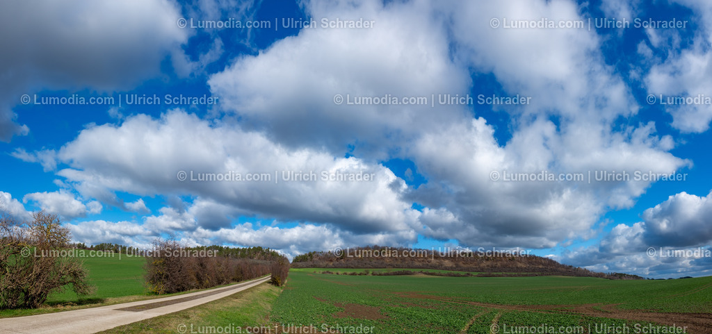 10049-12944 - Landschaft bei Börnecke | Stockfoto und Bilderpool mit Bildmaterial aus Deutschland, dem Harz, Halberstadt, Quedlinburg, Wernigerode und weltweit. Qualitativ hochwertige und professionelle Fotos anschauen und kaufen. - Realisiert mit Pictrs.com