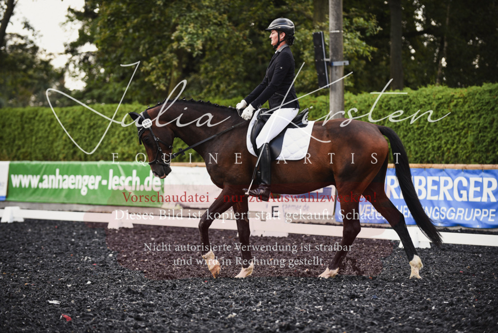 DSC_4027 | Pferde- und Turnierfotografie in Westsachsen. Pferdeportraits, Auftragszeichnungen und intuitive Kunst.