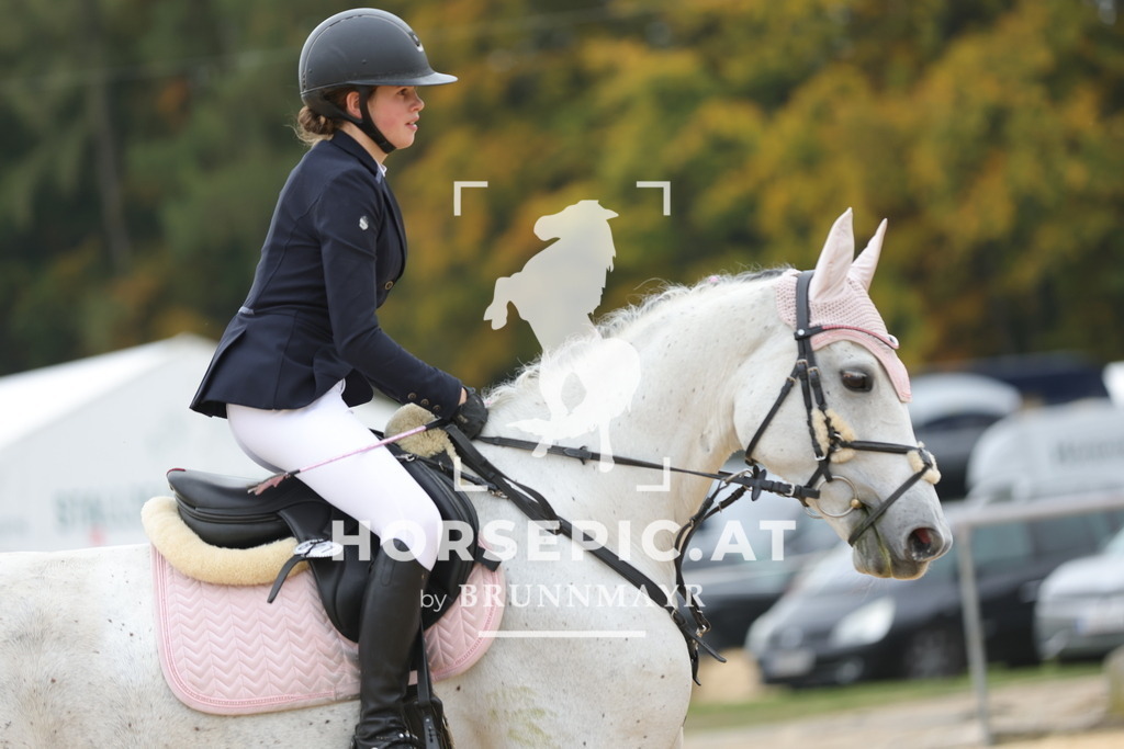 0P6A2365 | Willkommen bei Brunnmayr - Design & Fotografie – Ihrem Spezialisten für Reitturniere und Pferdeveranstaltungen in Oberösterreich, Salzburg und Bayern! Seit über 17 Jahren sind wir leidenschaftlich dabei.