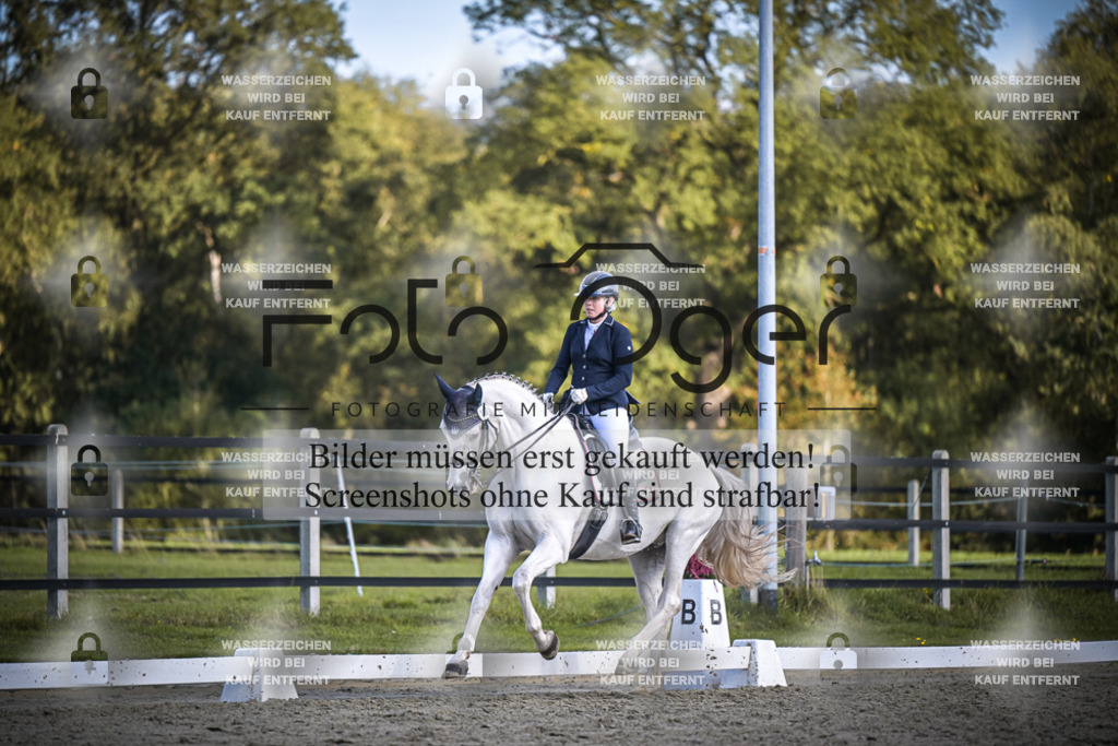 DOS_4583 | Entdecke hochwertige Reitturnierfotos von Foto Oger. Professionell, emotional und authentisch – jetzt Lieblingsmomente im Shop bestellen.Deutschlandweite Turnierfotografie. - Realisiert mit Pictrs.com
