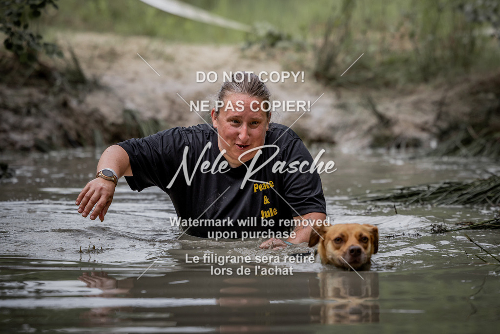 nelerasche_so0800-0930_111 | nelerasche