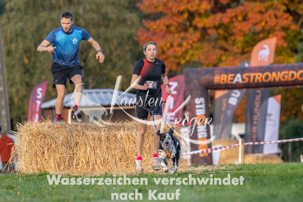 0900_ZZ92091 | kk-dogfotos
