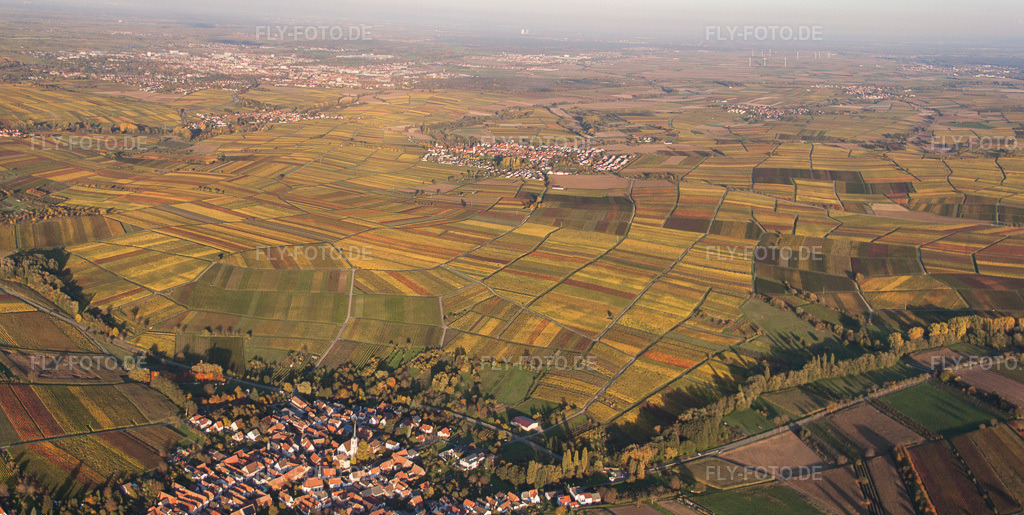 Luftbild: Panorama Perspektive der Herbstlichen Abendlicht am Rande von Feldern in Göcklingen im Bundesland Rheinland-Pfalz in Deutschland. Foto: IMG_60649-Bearbeitet.jpg vom 24.10.2013 durch Werner Riehm/FLY-FOTO.deAuflösung des Originals: 6352 x 3193 px