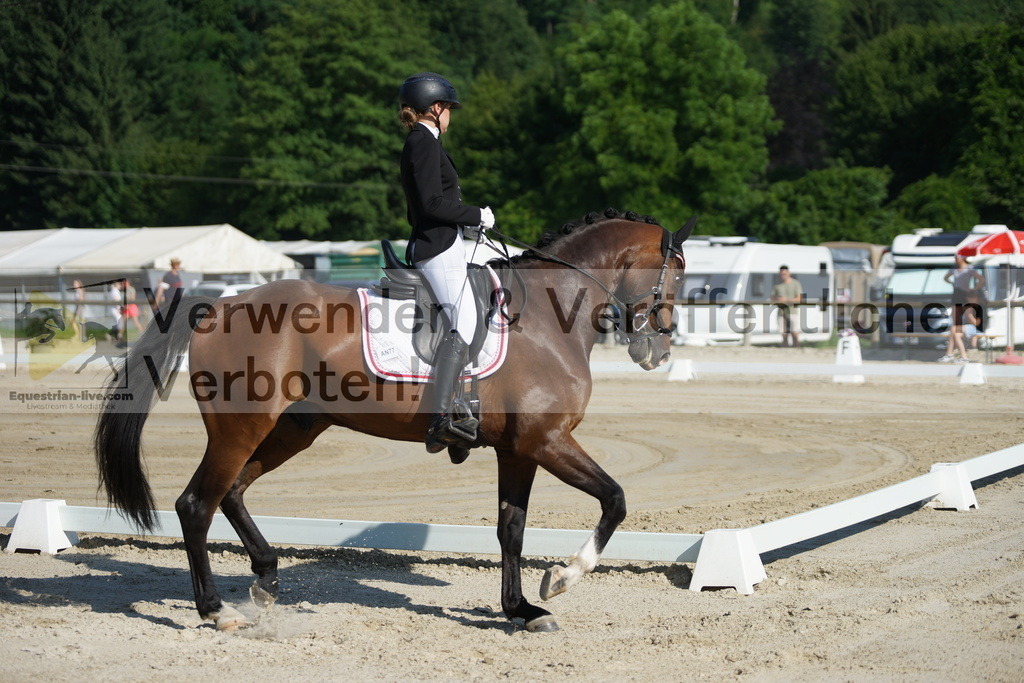 DSC03955 | equestrian-live-com